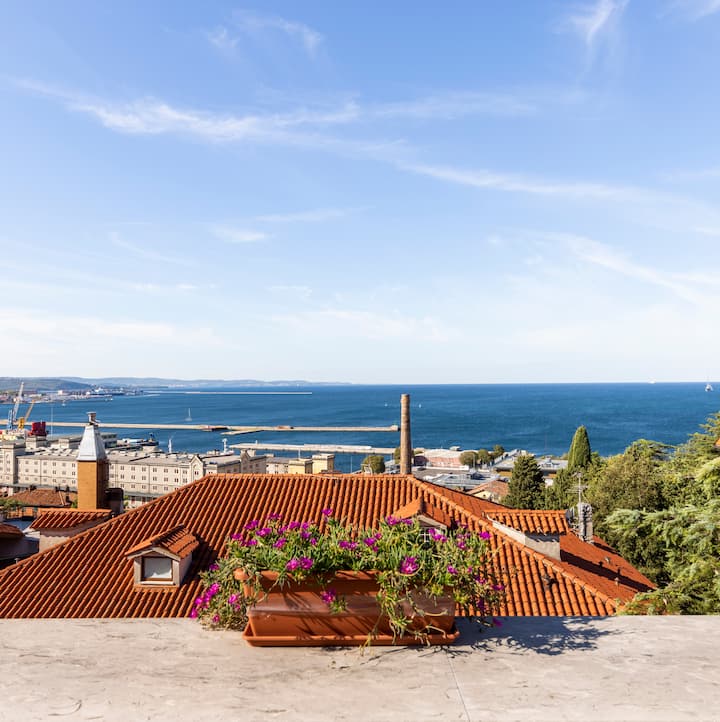 photo of rooftop