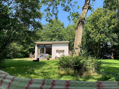 small cosy house in nature