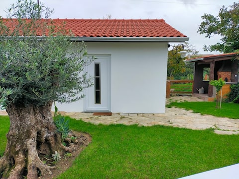 River house in a
very quiet location in Soure