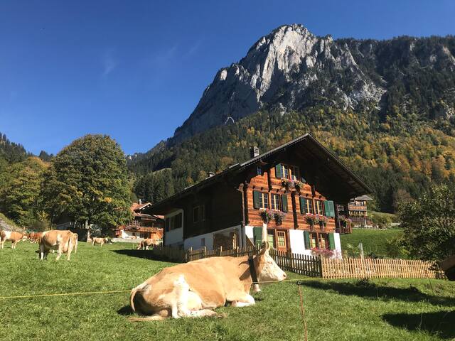 EINFACH NATUR
SIMPLY NATURE