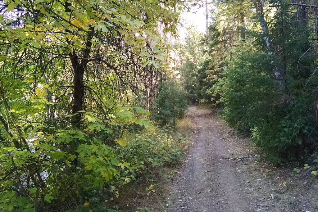 Access road to camp site
