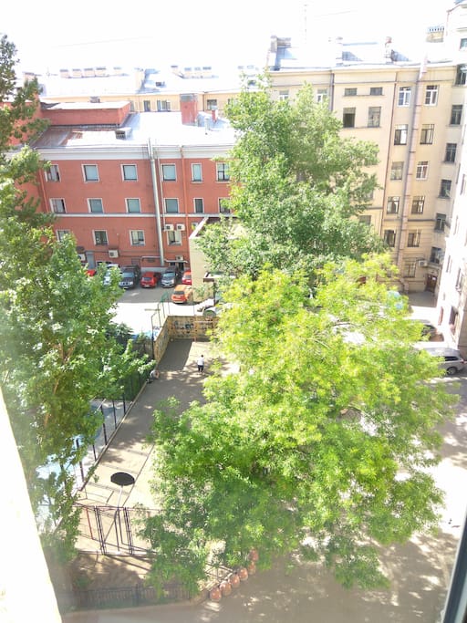 view from the window