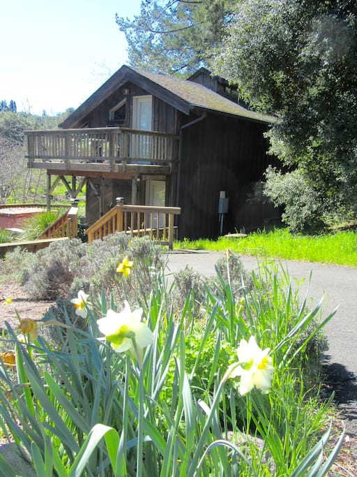view from driveway