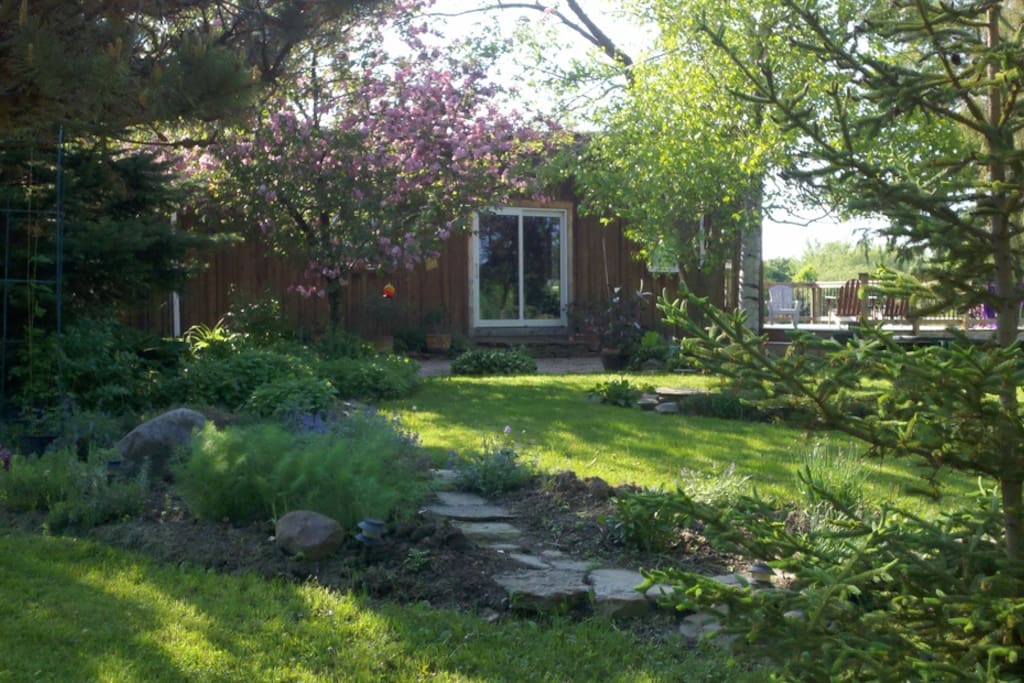 Side yard and gardens