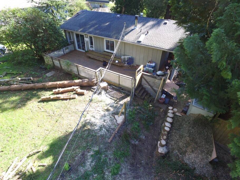 Just removed trees to allow lots of sun in the yard!