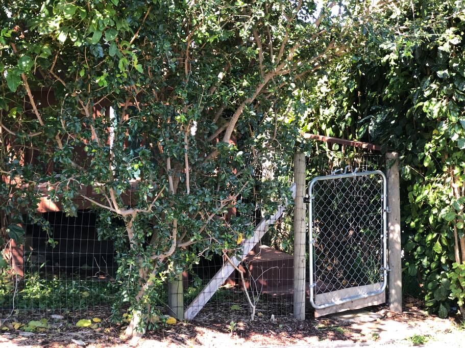 Gate entrance to the tiny house, one parking spot right in front!