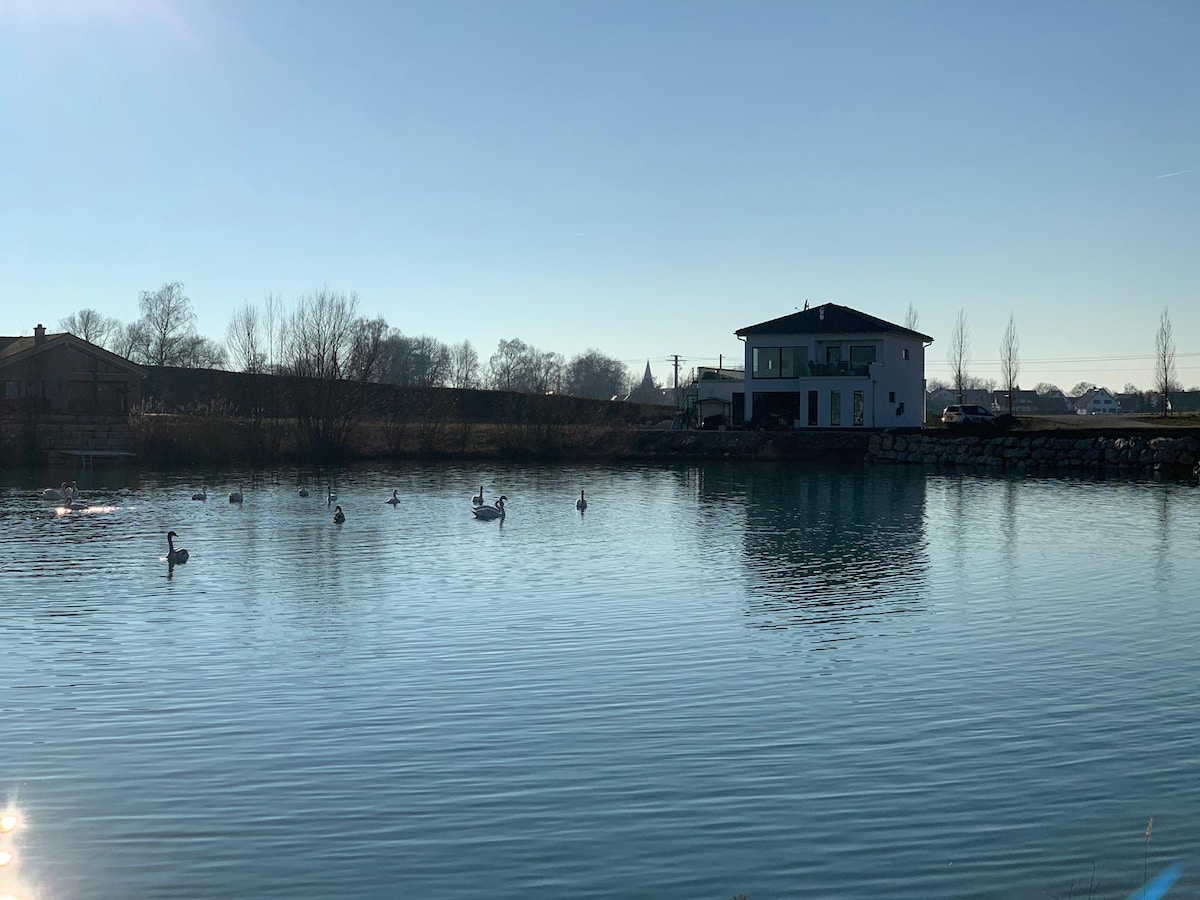 A tranquil lake scene features several swans gracefully gliding across the calm water, reflecting the clear blue sky. In the background, a modern building is nestled among trees, providing a peaceful setting for relaxation.