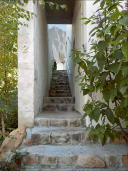 Entrance corner of Thorn and Willow street