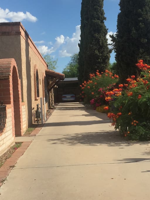 Driveway and private back entrance to apartment.