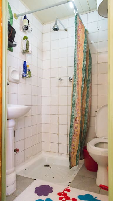 Toilet, small but with everything, including excellent water pressure and heater