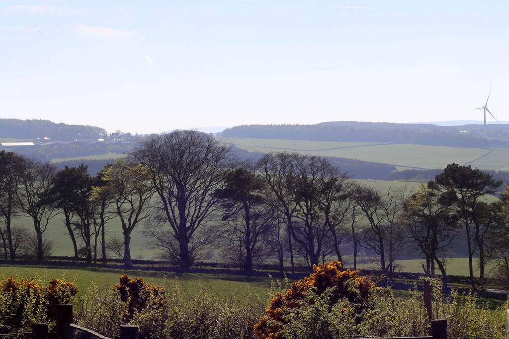 View from lodge to north