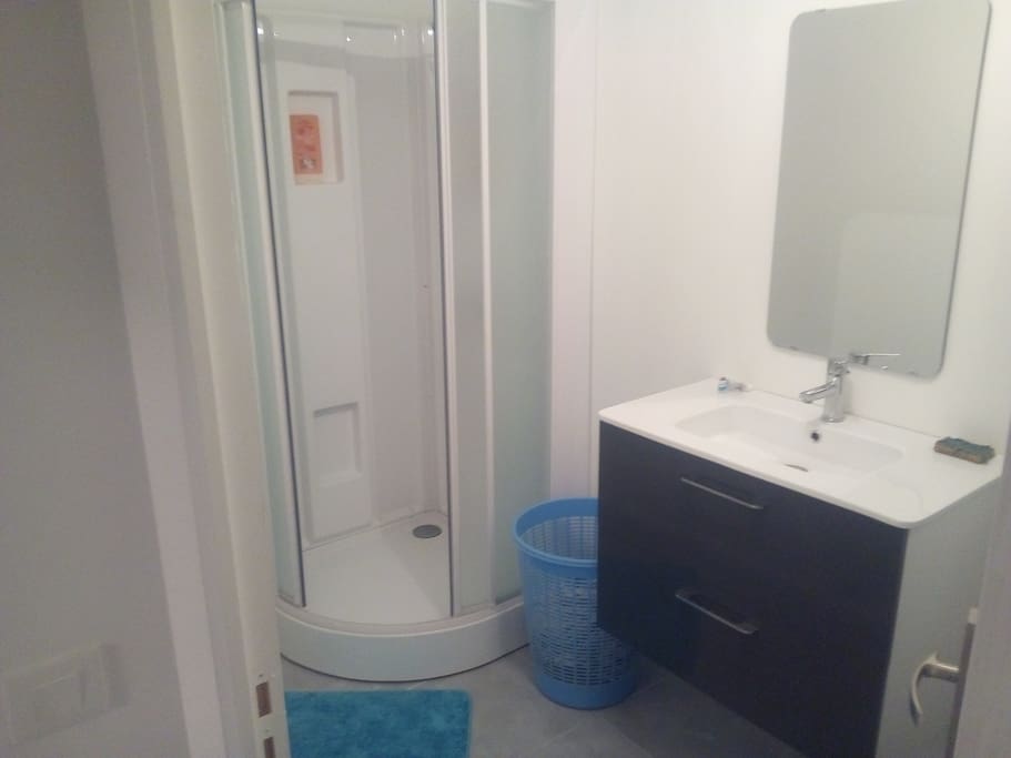 Une salle de bain avec douche et lavabo (en somme tout ce qui a de plus classique :) )