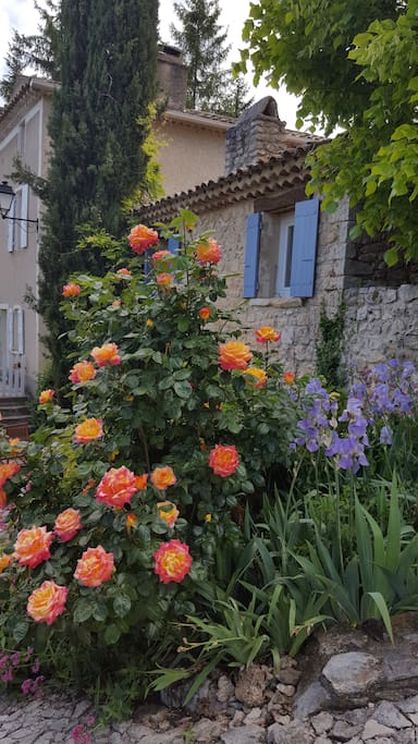 La Bergerie au printemps