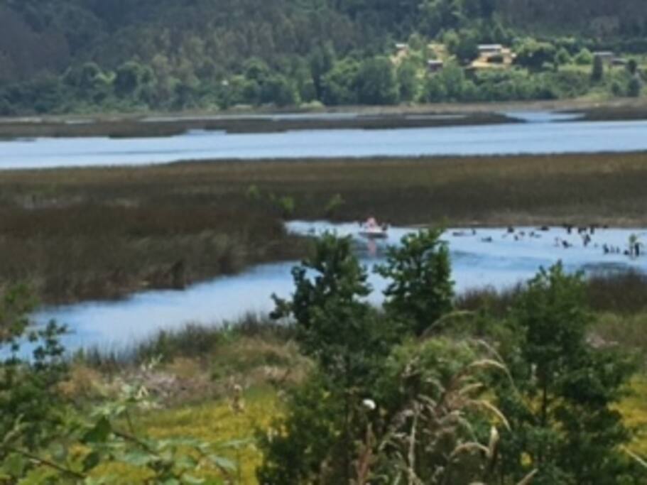 Vista al estero y río