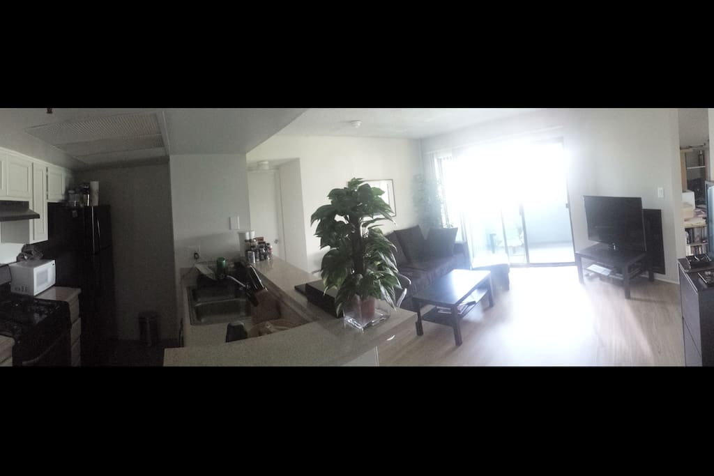 Open Kitchen and living room space, to the right(unseen) is my studio space.