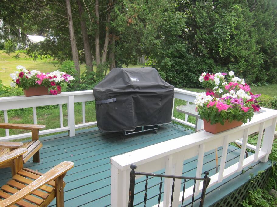 Back Porch