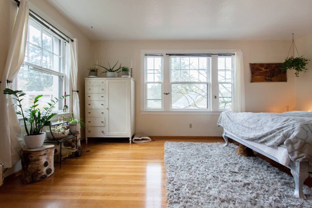 Master Bedroom. Scarlett the cat would NOT be there during your stay.