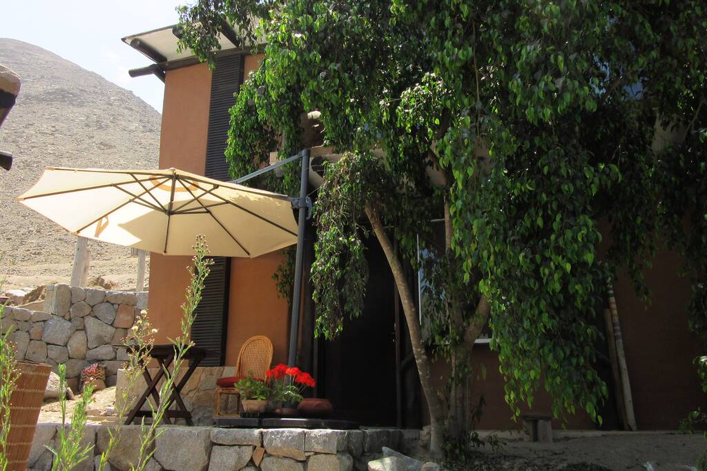 Terraza