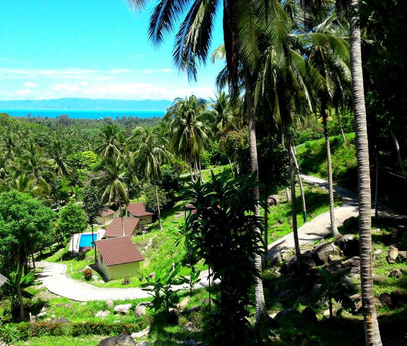 Sea view restaurant