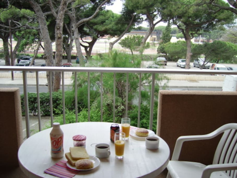 terrasse vue sur l'hippodrome