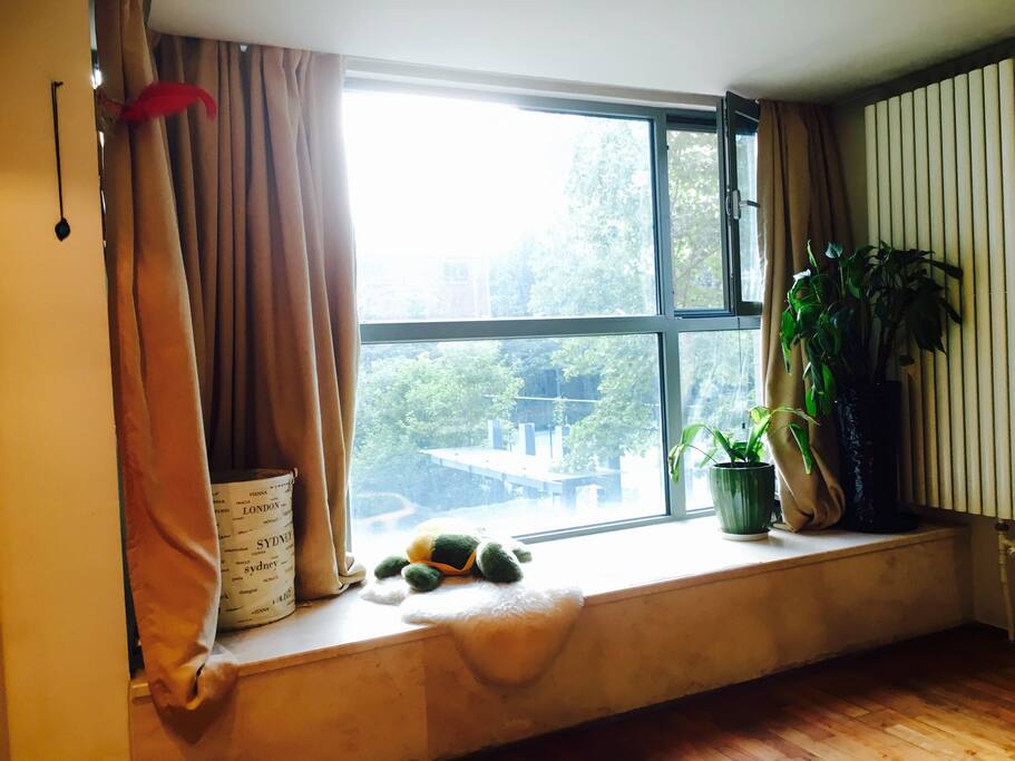 Bay window full view