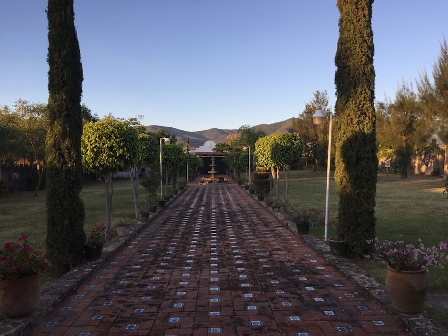 FRONT GARDEN