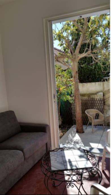 vue salon/chambre avec son canapé lit et de la terrasse
