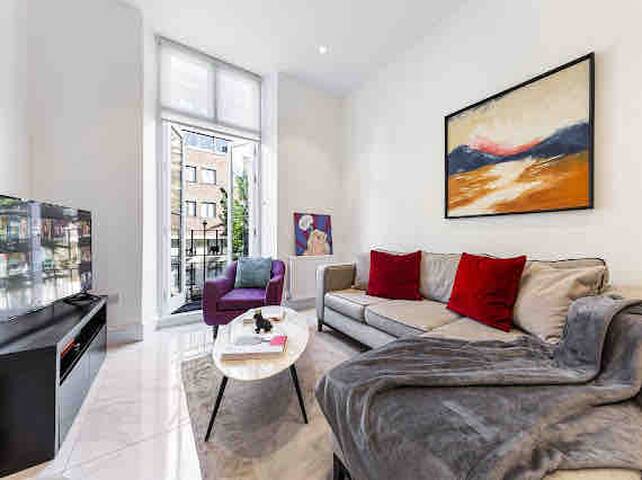 Harley Street Luxury Snug gallery image 3
