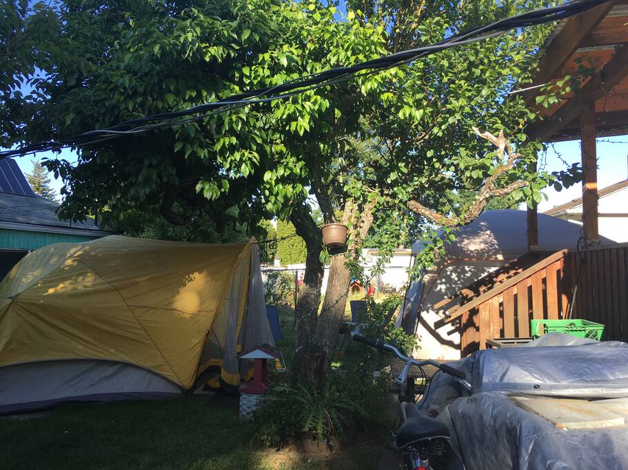 Backyard!