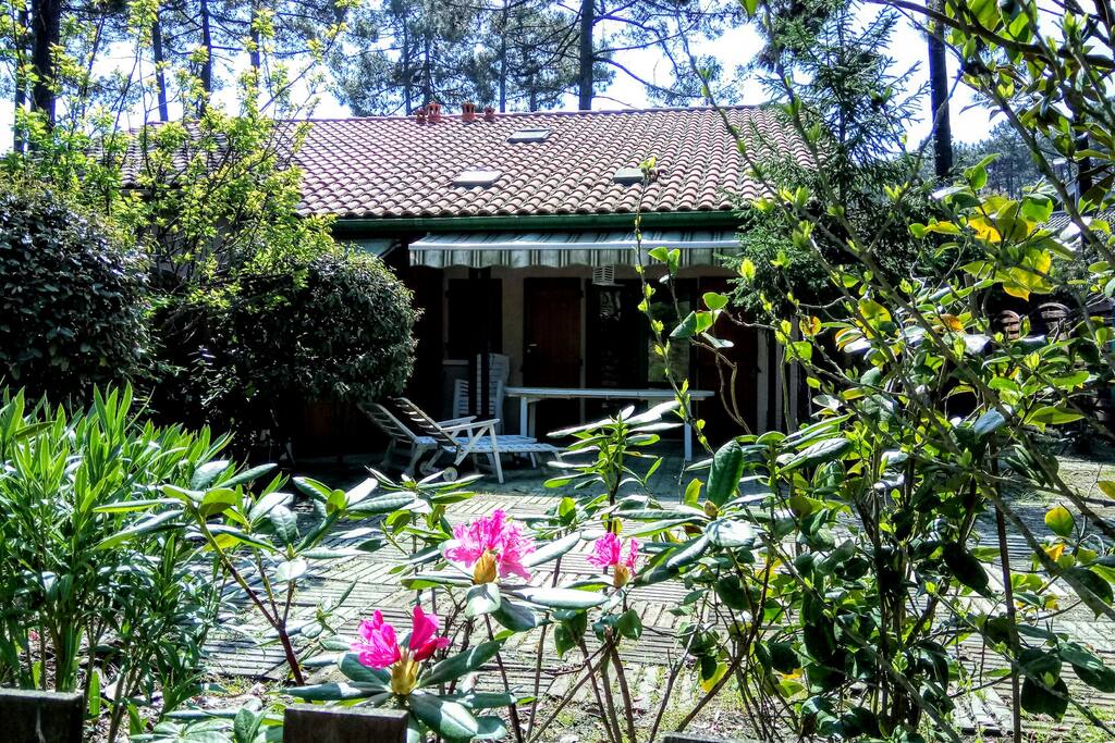 Jardin