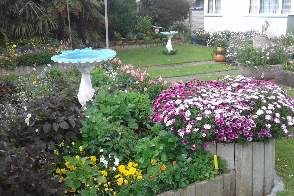 Front Garden as at 19/02/2018 dahlias starting to come up