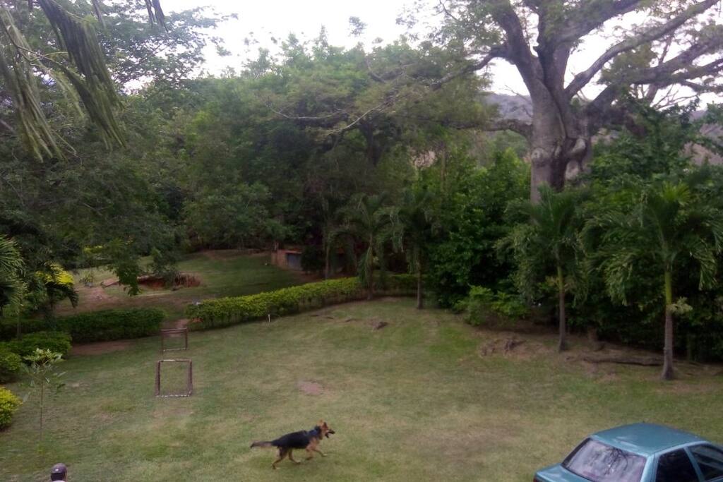 cancha de fútbol, kiosko y zona de asados.