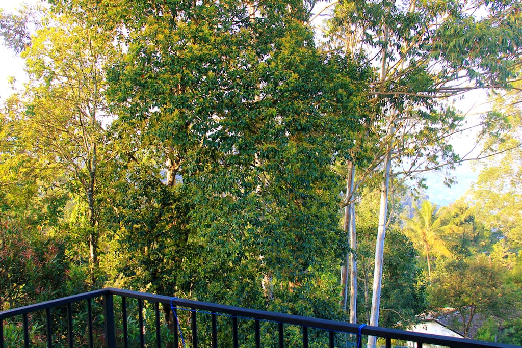 a view from the balcony