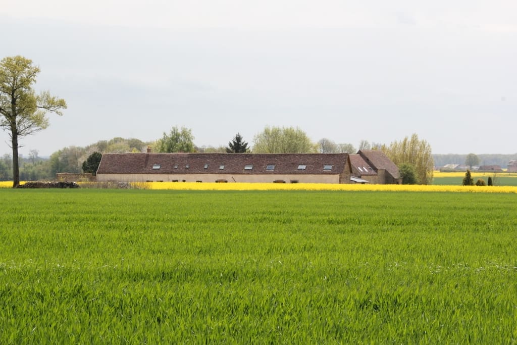 L'environnement