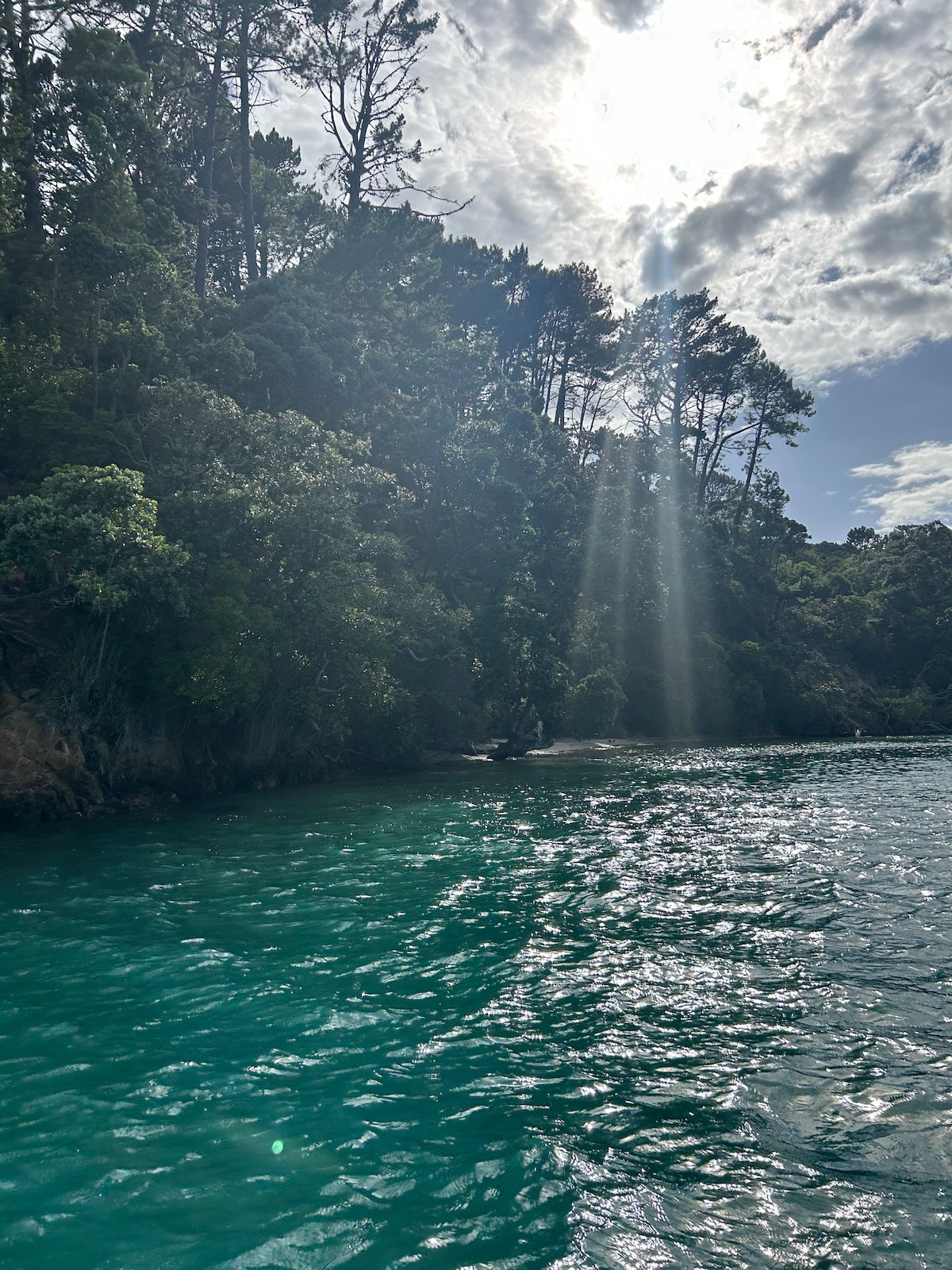 Opera point harbour area at New Chums in Whangapoua