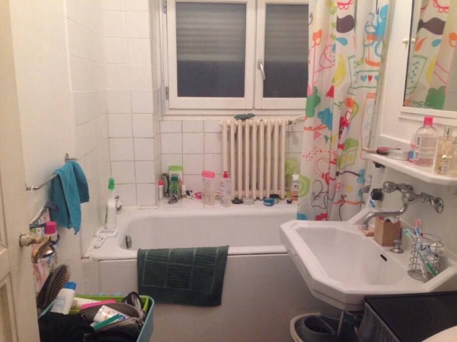 Salle de bain/ Bathroom