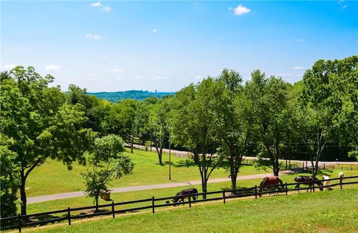 Log Home on 24 acres w/Skyline view