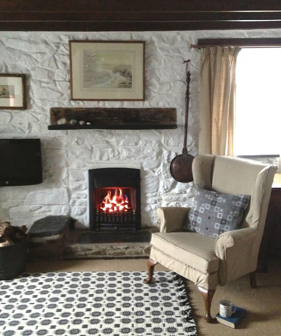 Cosy living room with all mod cons.
