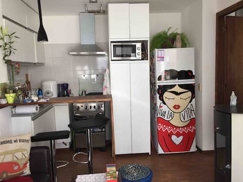 A cozy and functional apartment. Parque Rodó.