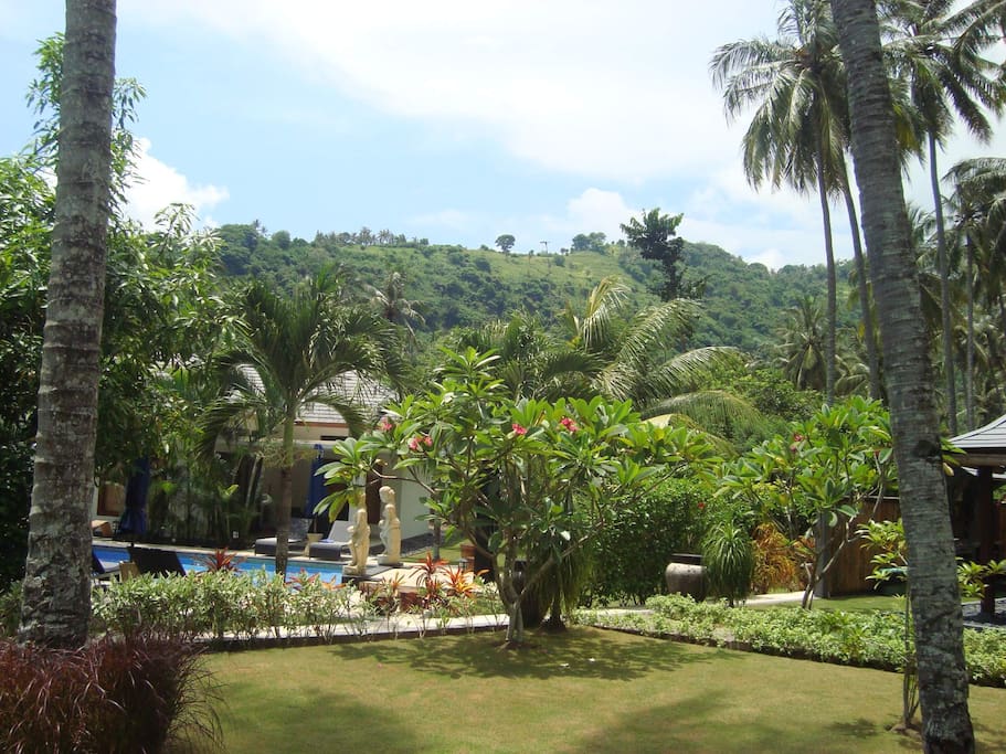 Garden View