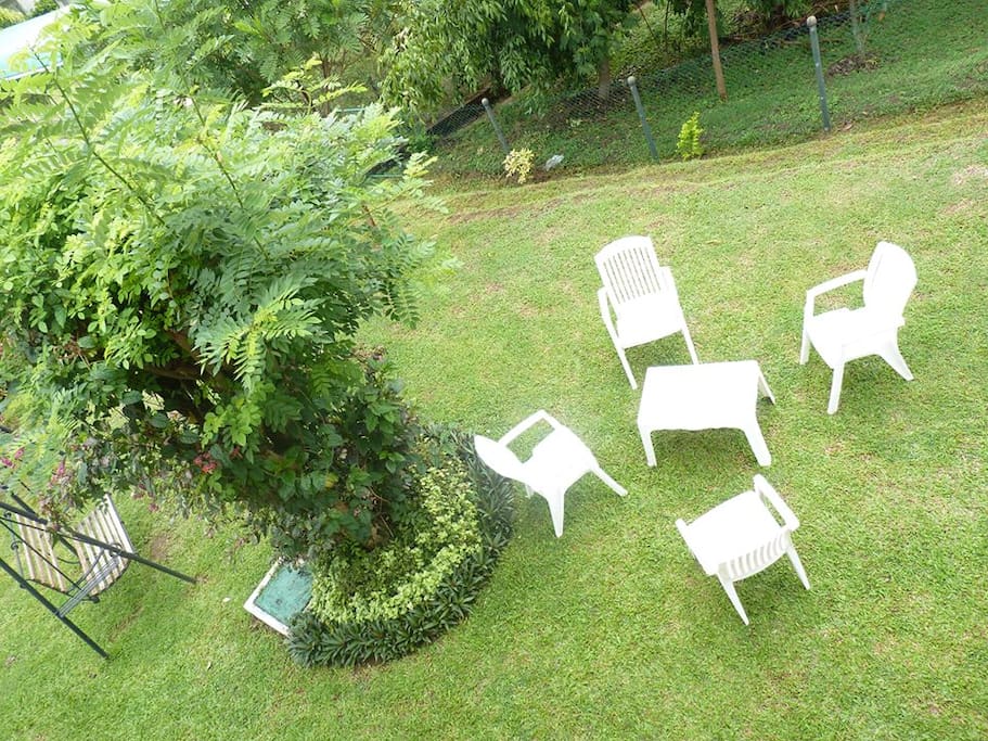 Garden View from the Balcony