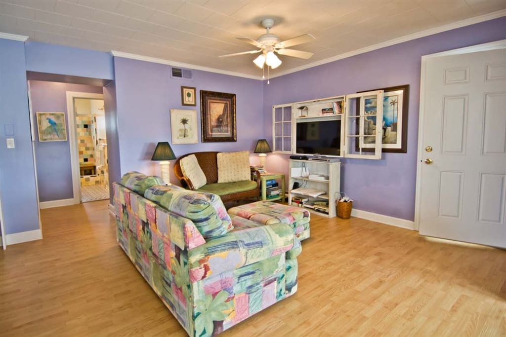 Living room with smart TV, DVDS, etc.