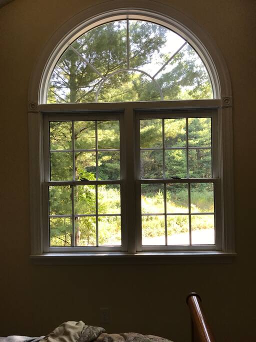 View from the master bedroom