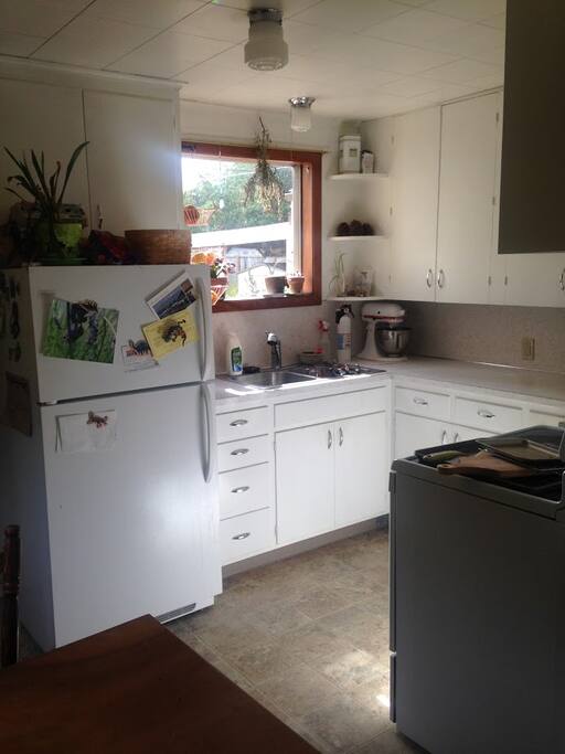 bright and sunny kitchen