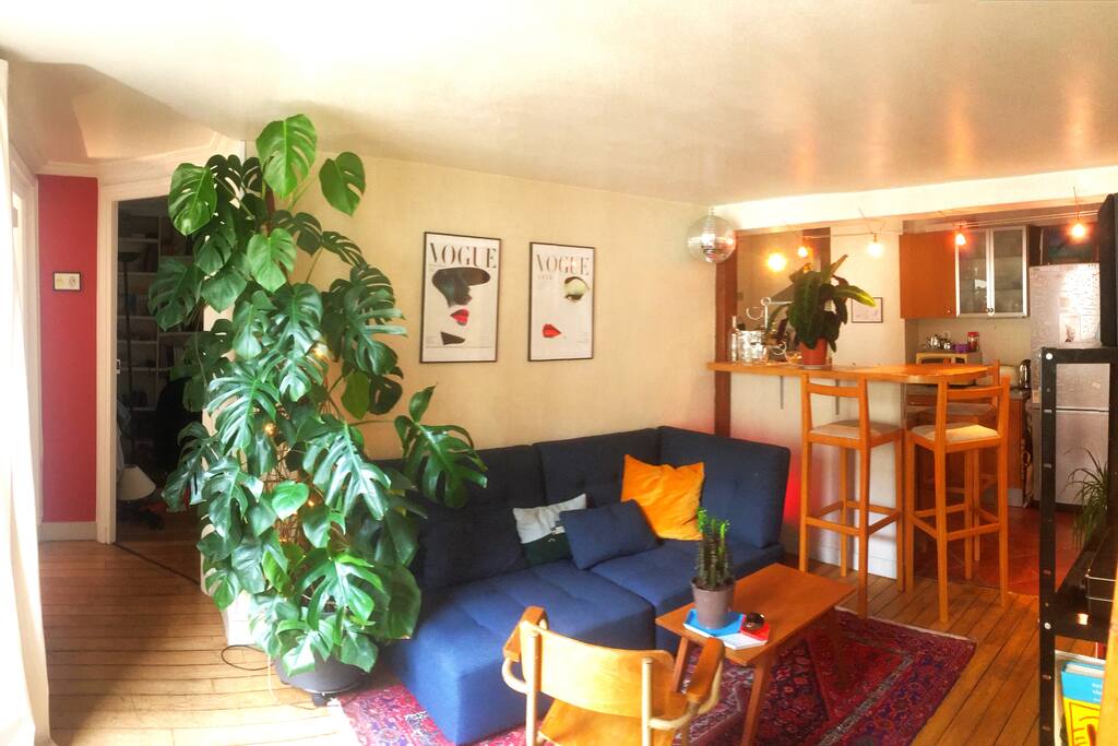 Big living room with american kitchen