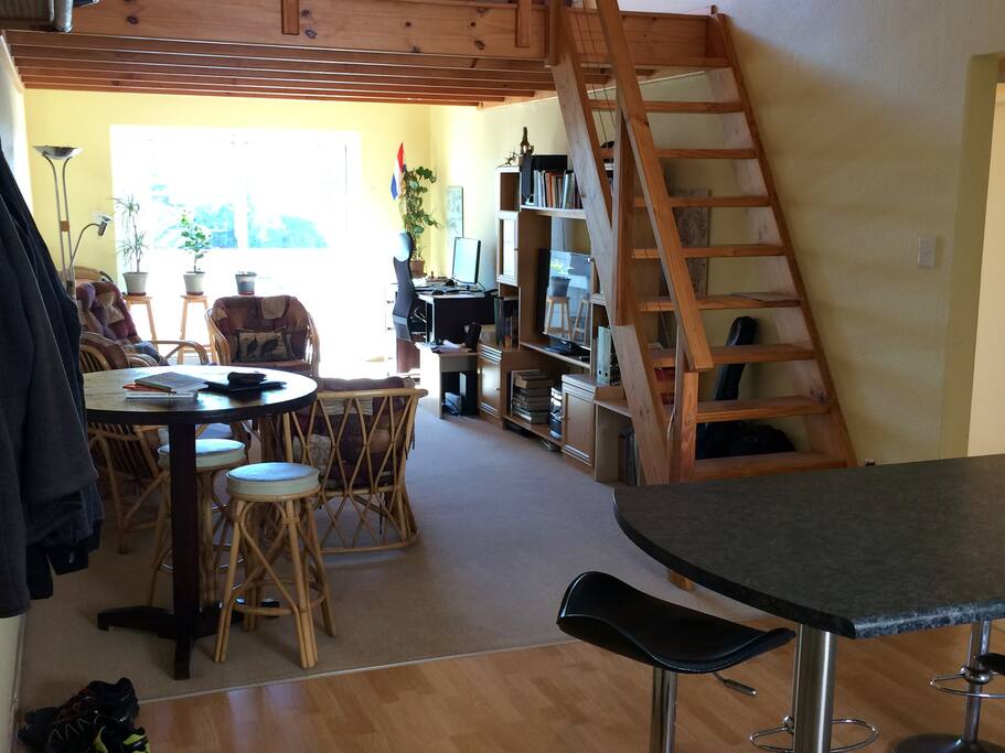 The Living Area