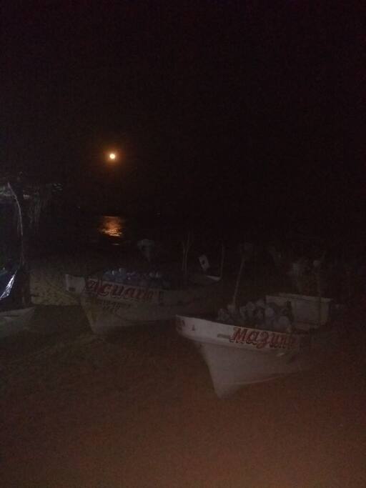 En las noches puedes caminar libremente por la playa, viendo el resplendor de las estrellas y escuchando el sonido de las olas.