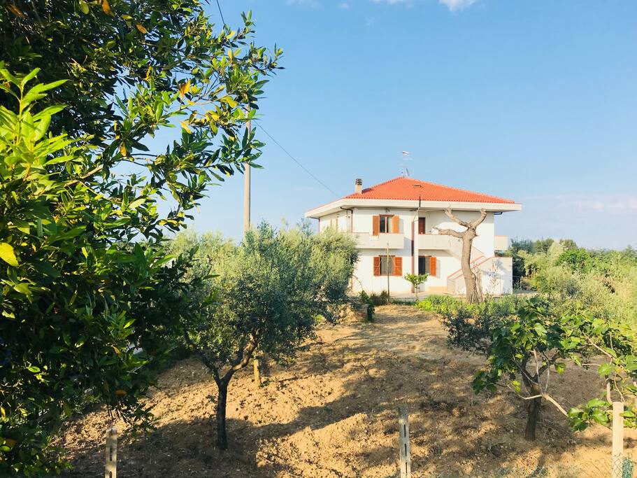 la casa vista dalla strada principale