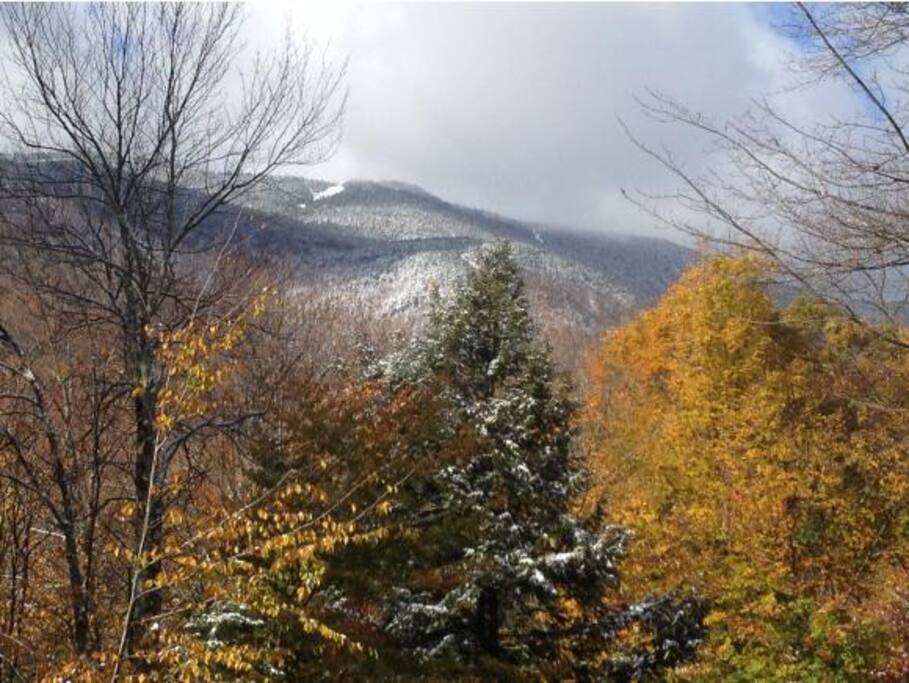 Mad River Glen, less than 5 minutes away.