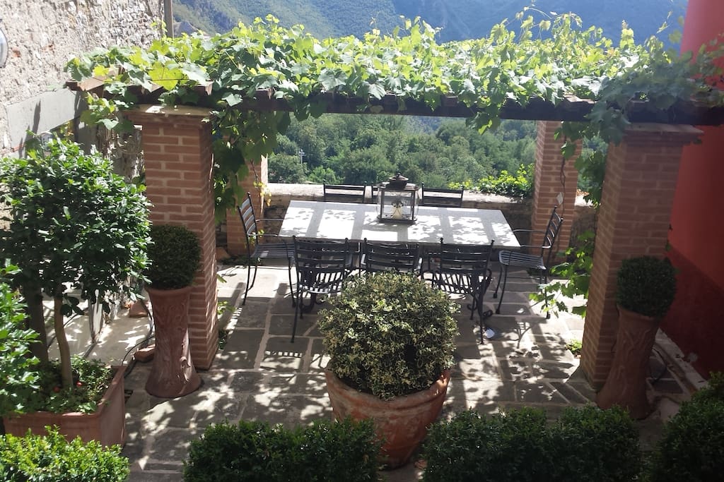 Garden courtyard dining